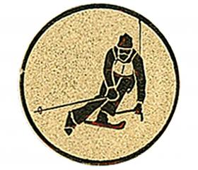 0356 Emblém lyžování