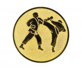 0365 Emblém karate