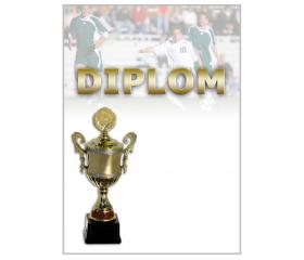 DF02f Diplom fotbal