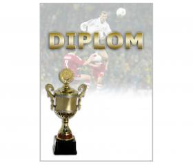 DF02o Diplom fotbal
