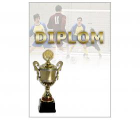 DF03b Diplom fotbal