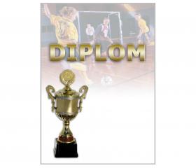 DF03d Diplom fotbal