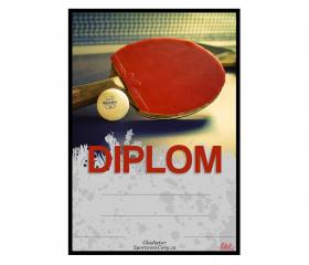 DS05d Diplom stolní tenis