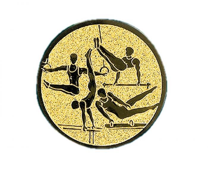 0313 Emblém gymnastika - Kliknutím zobrazíte detail obrázku.