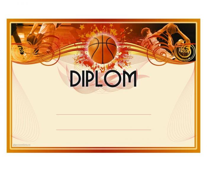 DB03c Diplom basketbal - Kliknutím zobrazíte detail obrázku.