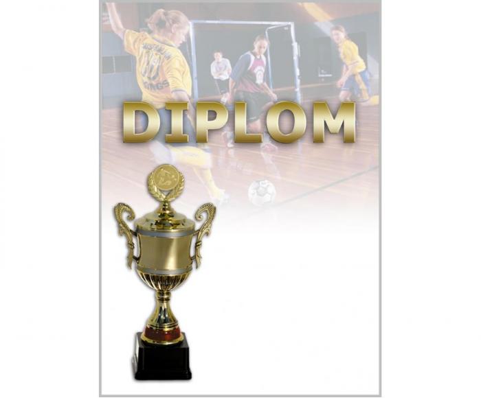 DF03d Diplom fotbal - Kliknutím zobrazíte detail obrázku.