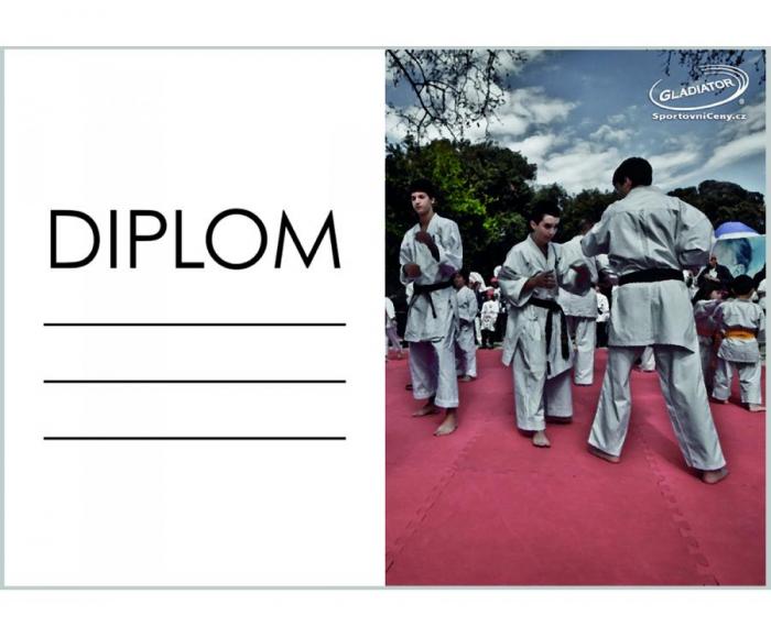 DK02b Diplom karate ZDARMA - Kliknutím zobrazíte detail obrázku.